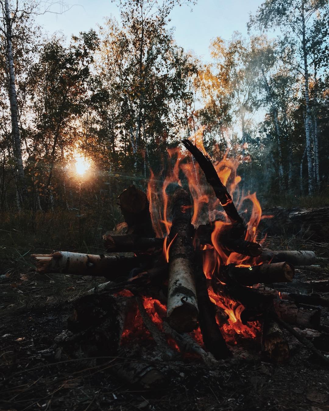 Окутанные пламенем ветки, так и слышится хруст костра. Фото: @werter