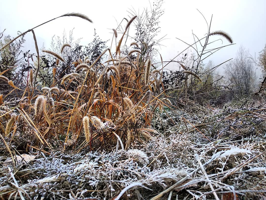 Красота в деталях. Фото: @kuchayyura