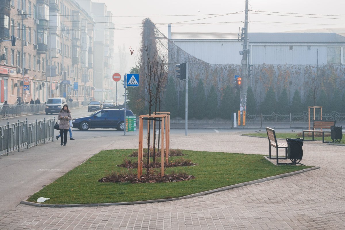 В сквере высадили новые деревья