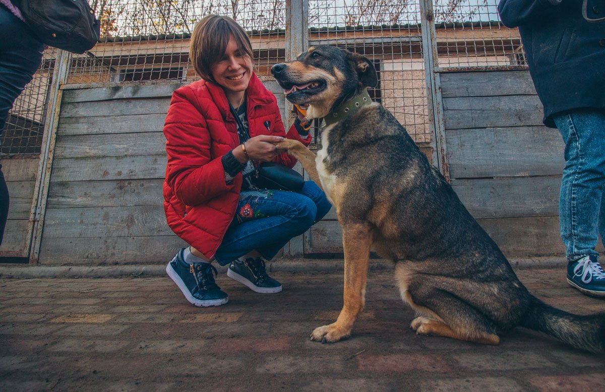 Настя - наш руководитель пресс-центра - и ее новая подружка Польда