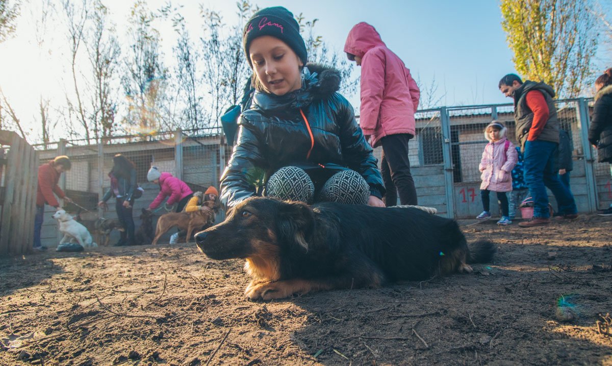 Детки были в восторге от прогулки с собаками