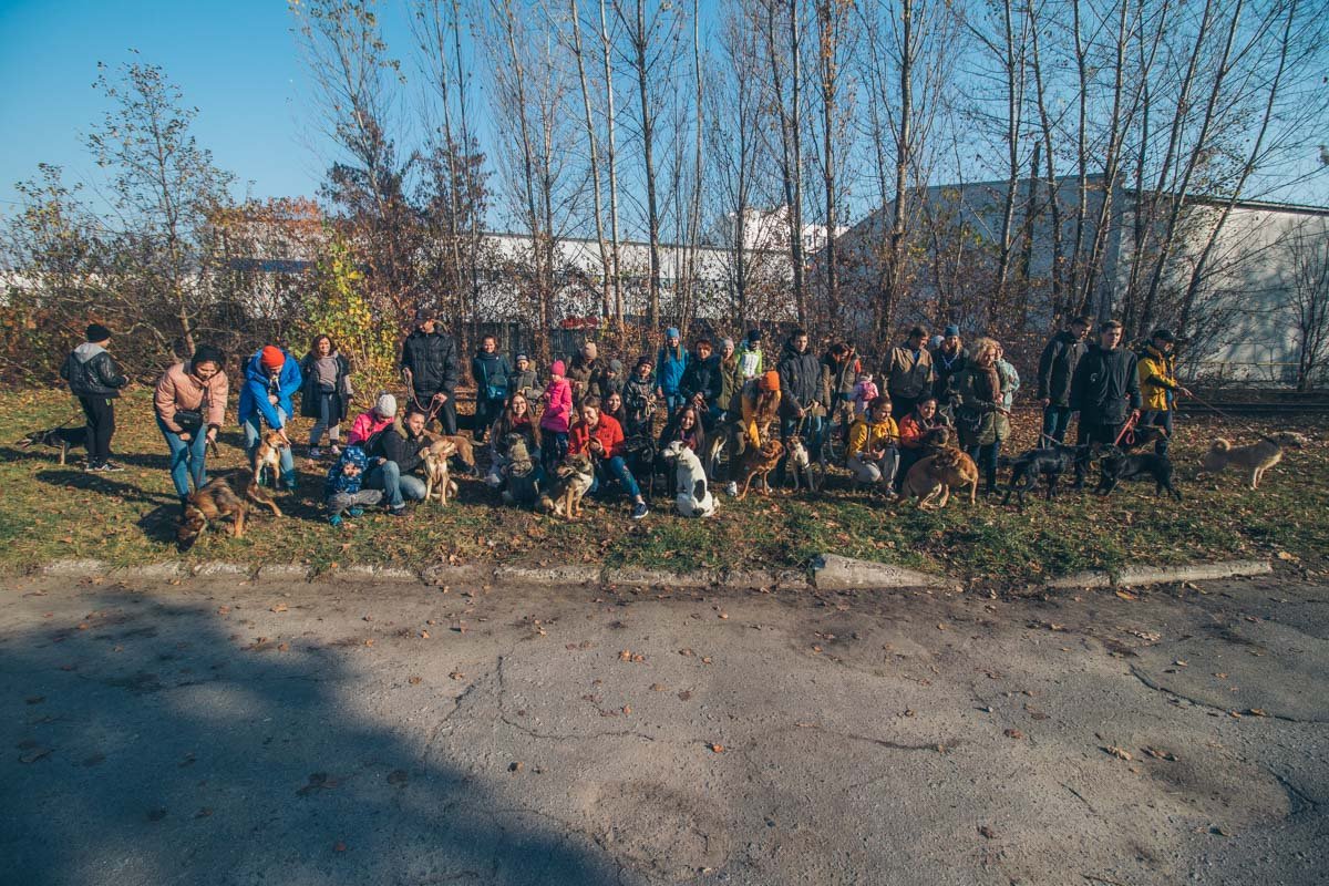 Сегодня на выгул собралось действительно много людей