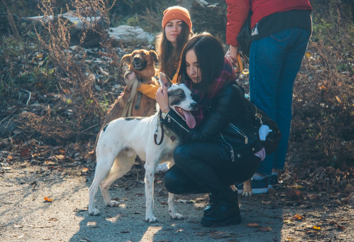 Наш редактор Люба и застенчивый красавец Локис
