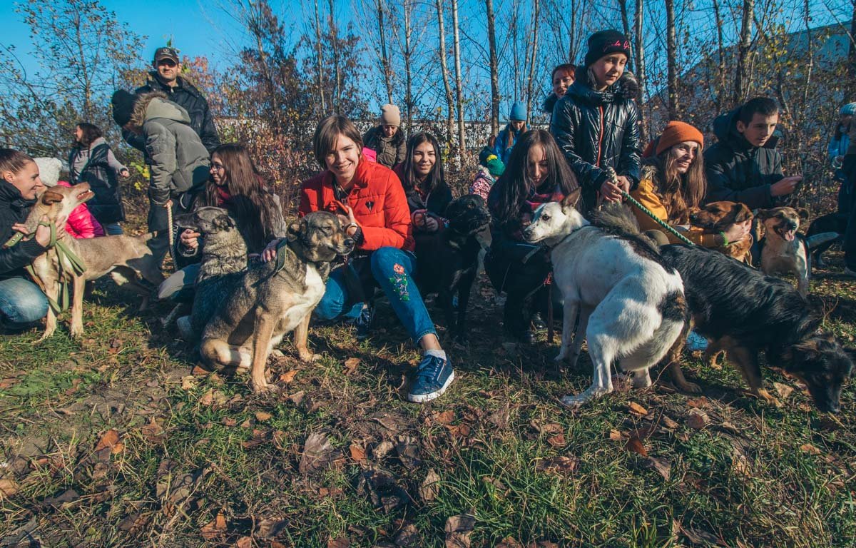 У каждой собаки свой характер и темперамент: главное найти правильный подход