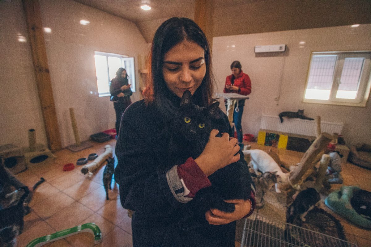 Красавица Черничка сразу покорила наши сердца