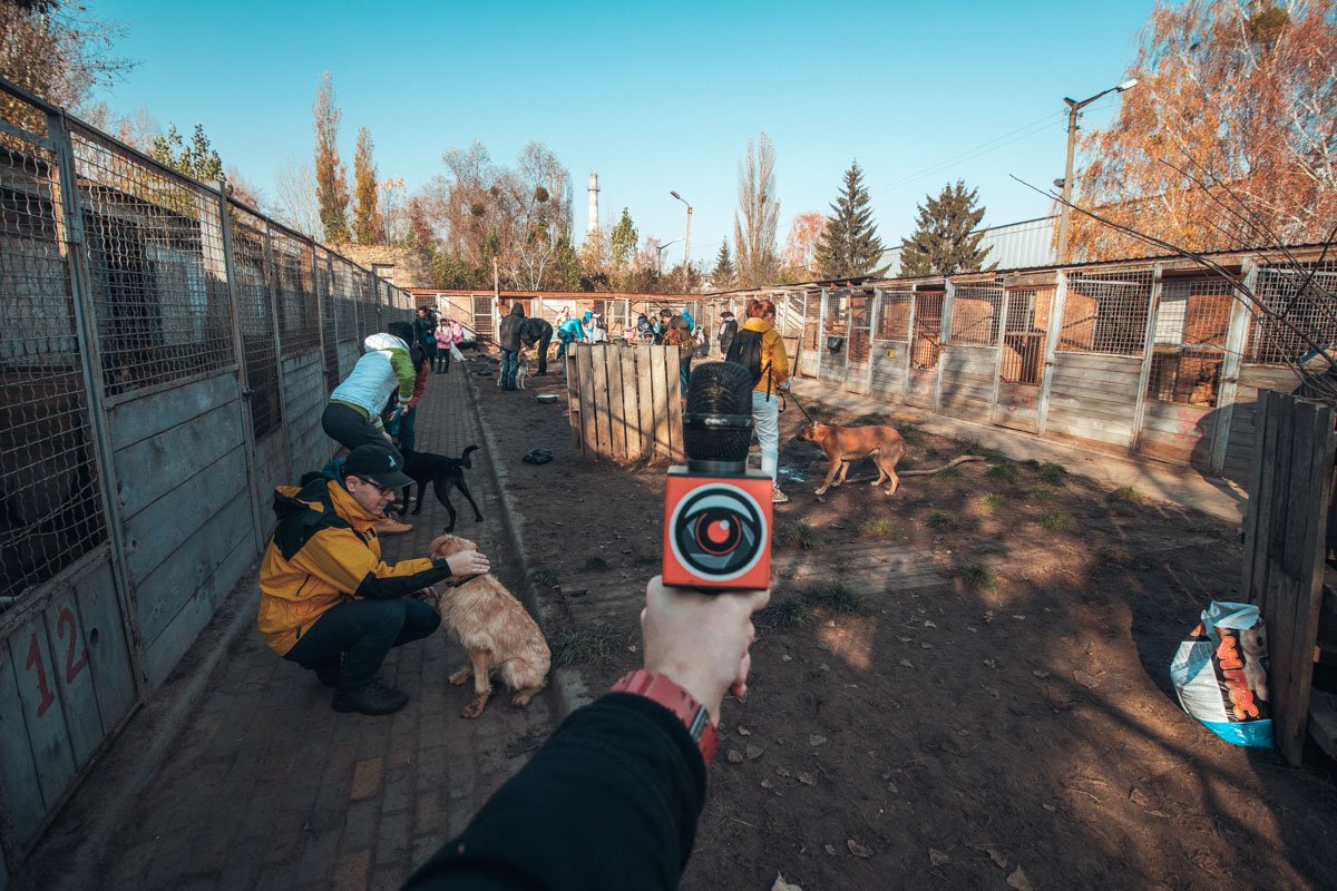 Информатор решил пообщаться с жильцами приюта напрямую