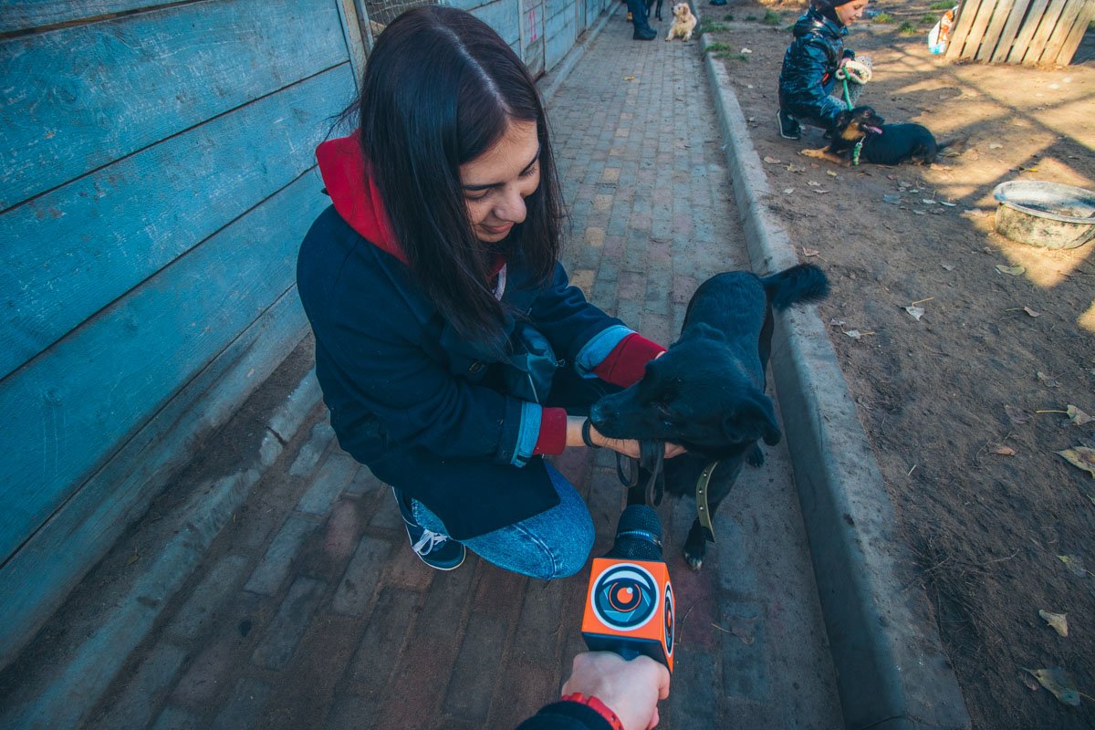 Энергичная Нярма рассказала, что ищет хозяина, с которым можно будет очень много веселиться и так же много кушать