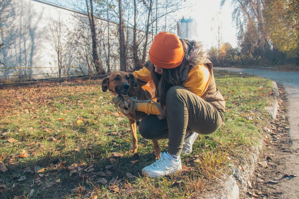 Лайм очень доволен прогулкой и новыми знакомствами