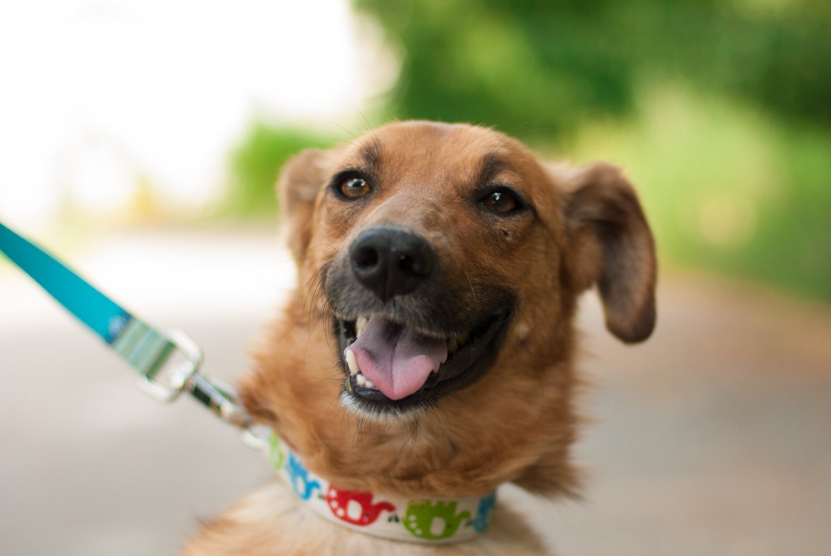 Я подарю тебе любовь, я научу тебя смеяться