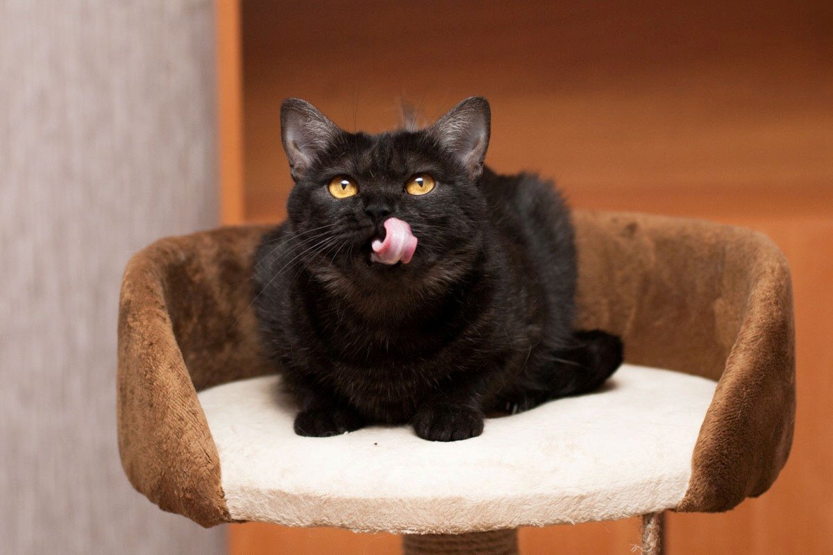 Возможно, именно вы тот человек, который сможет вернуть малышке веру в хороших людей и подарит ей любовь 