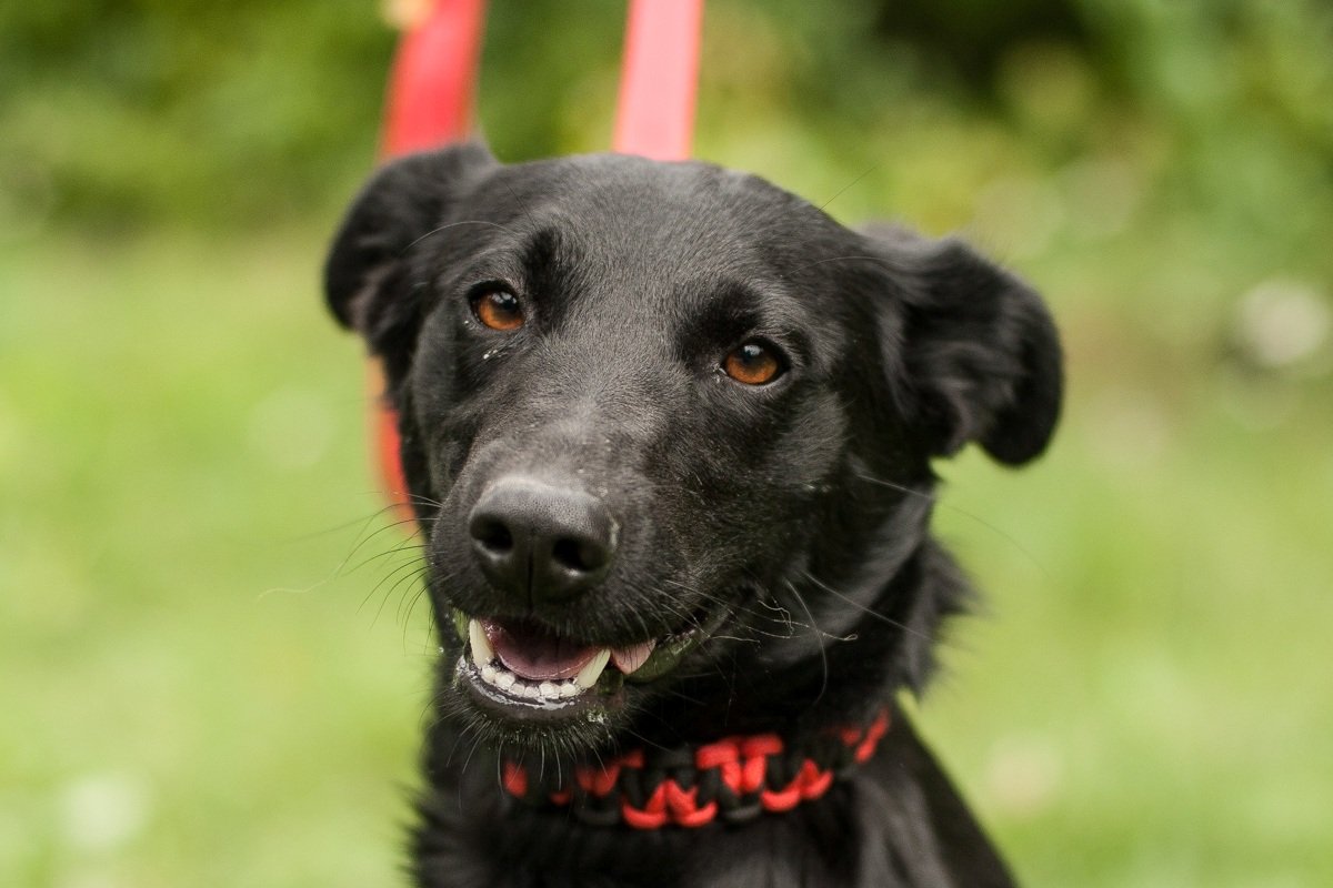 Милая Нярма - это сплошной комочек энергии