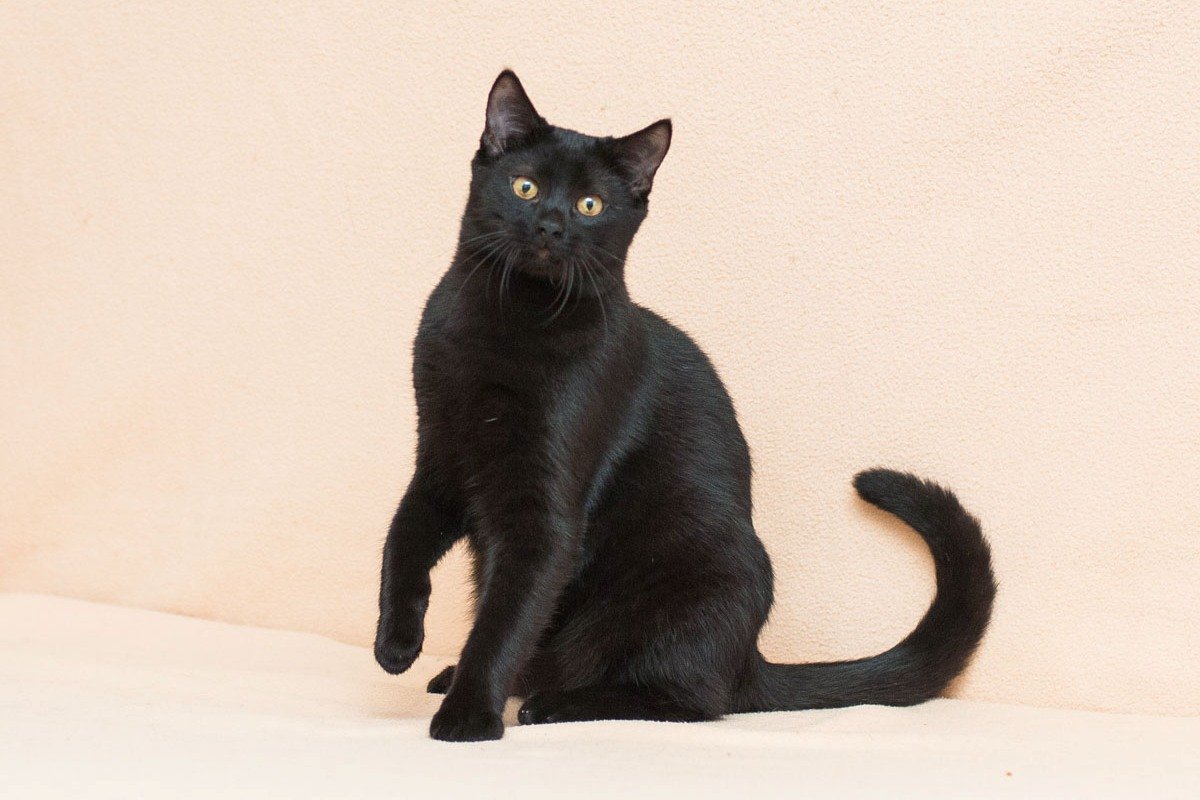 Юный и очень красивый Егорка