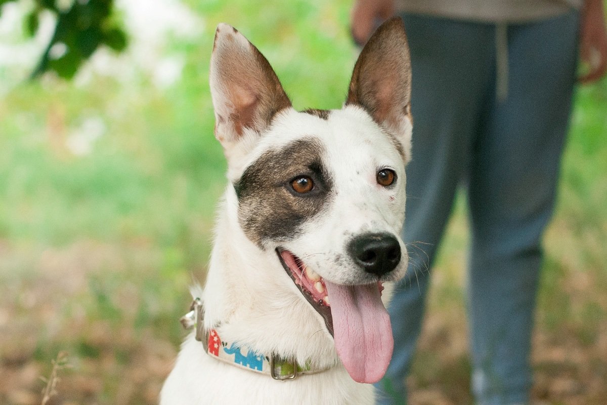 Идеальный одинокий мужчина в самом соку