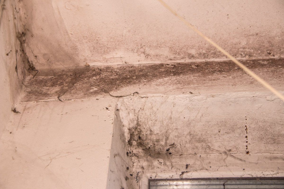 Дает о себе знать и вечно протекающая крыша