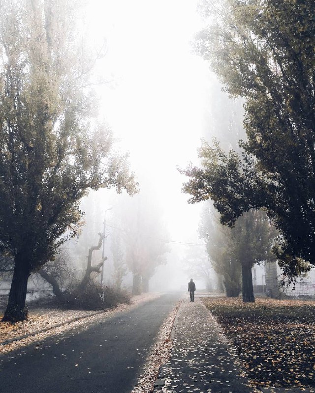Районы-кварталы, жилые массивы... Я ухожу, ухожу красиво! Районы-кварталы, жилые массивы... Я ухожу, ухожу красиво!