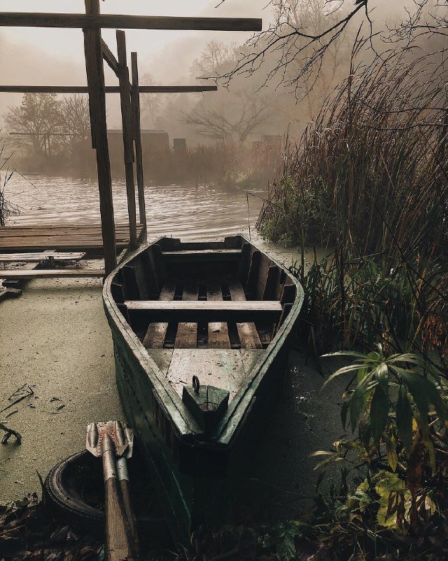 Красоту можно найти везде. Фото: @kozin.live Красоту можно найти везде. Фото: @kozin.live