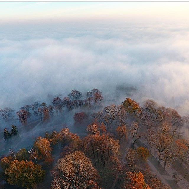 Даже деревья не хотят вылезать из-под "одеяла". Фото: @pod_val Даже деревья не хотят вылезать из-под "одеяла". Фото: @pod_val