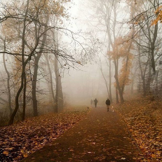 А помните песню "Осень золотая ран моих не залатает?" Фото: @_mariapopyk_ А помните песню "Осень золотая ран моих не залатает?" Фото: @_mariapopyk_