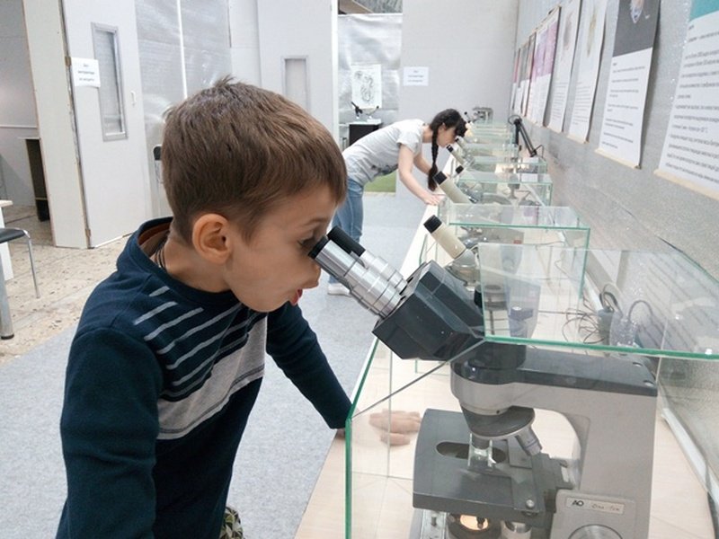 На ВДНГ можно посмотреть на зоопарк под микроскопом На ВДНГ можно посмотреть на зоопарк под микроскопом