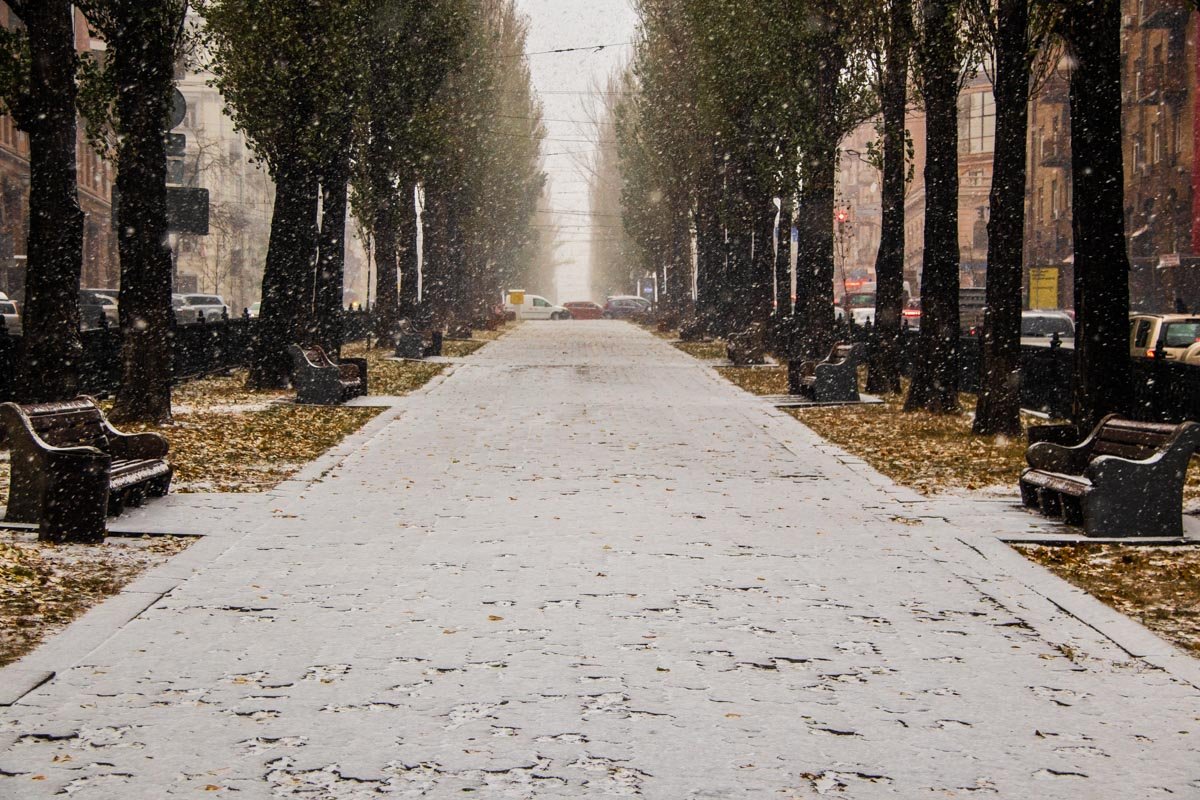 А помните, как тут зелено и ярко было летом?