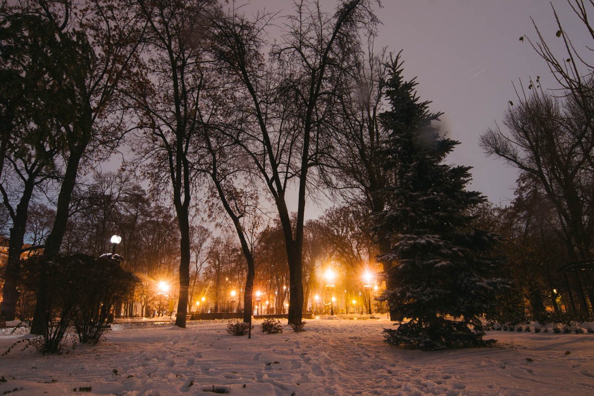 Первый снег накрыл город своим белым одеялом