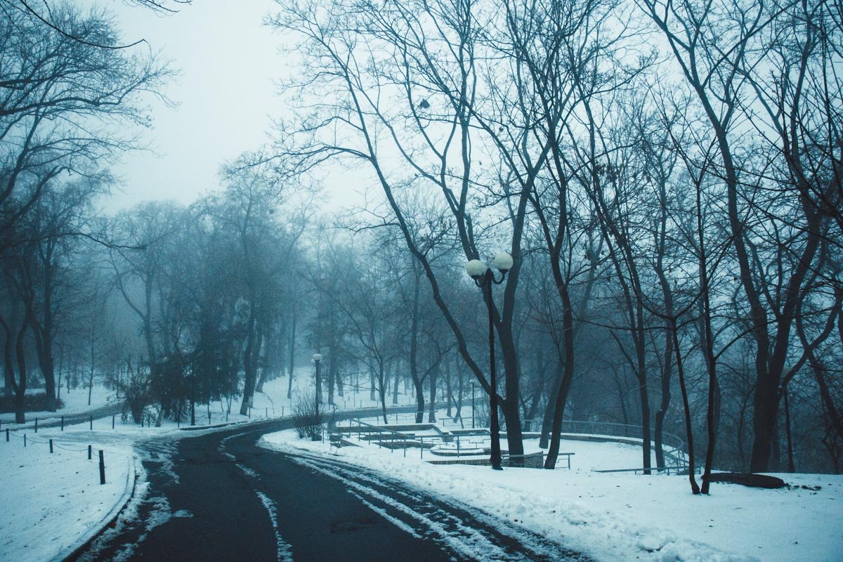 Белое спокойствие Белое спокойствие