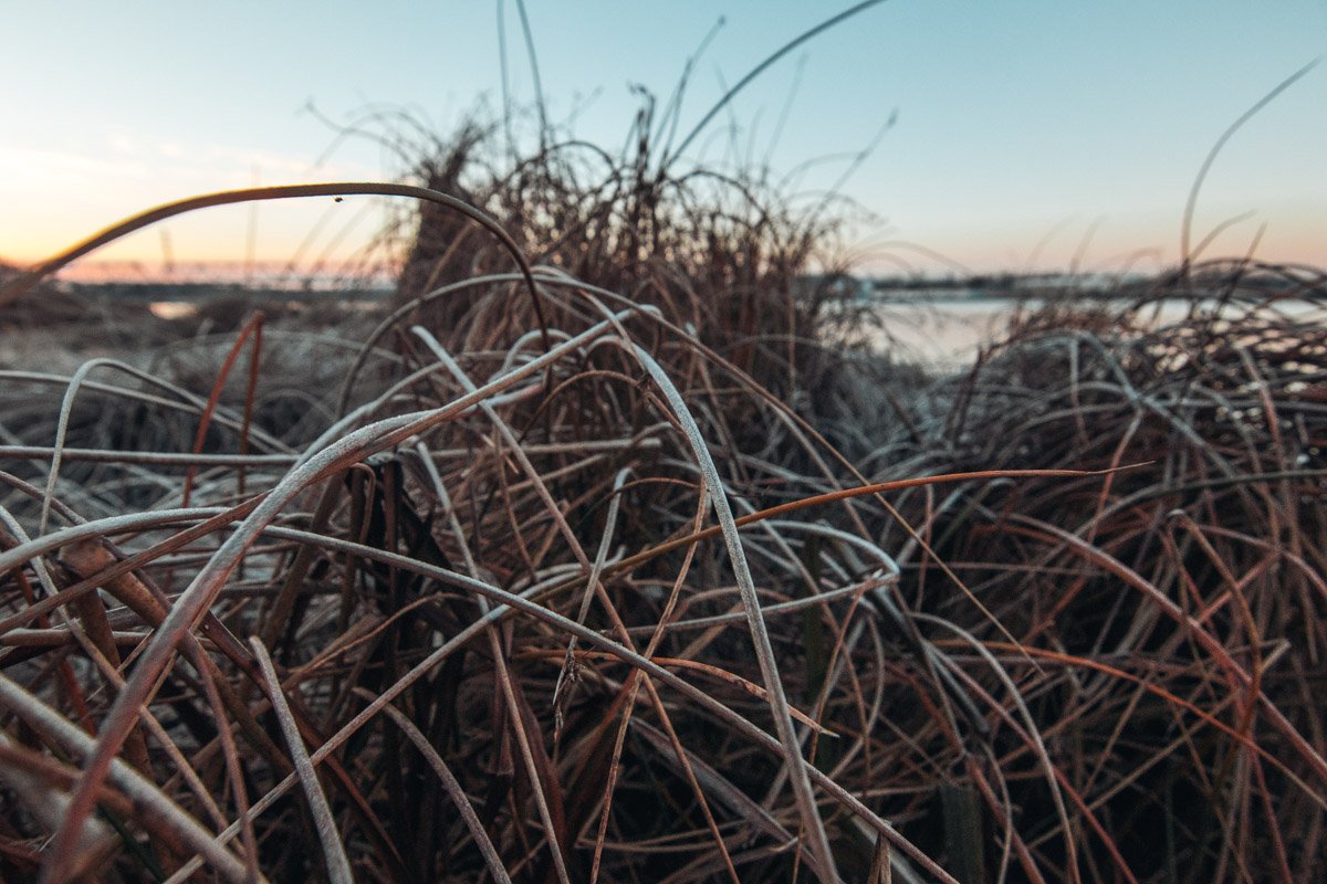Погода наносит свои рисунки на природу