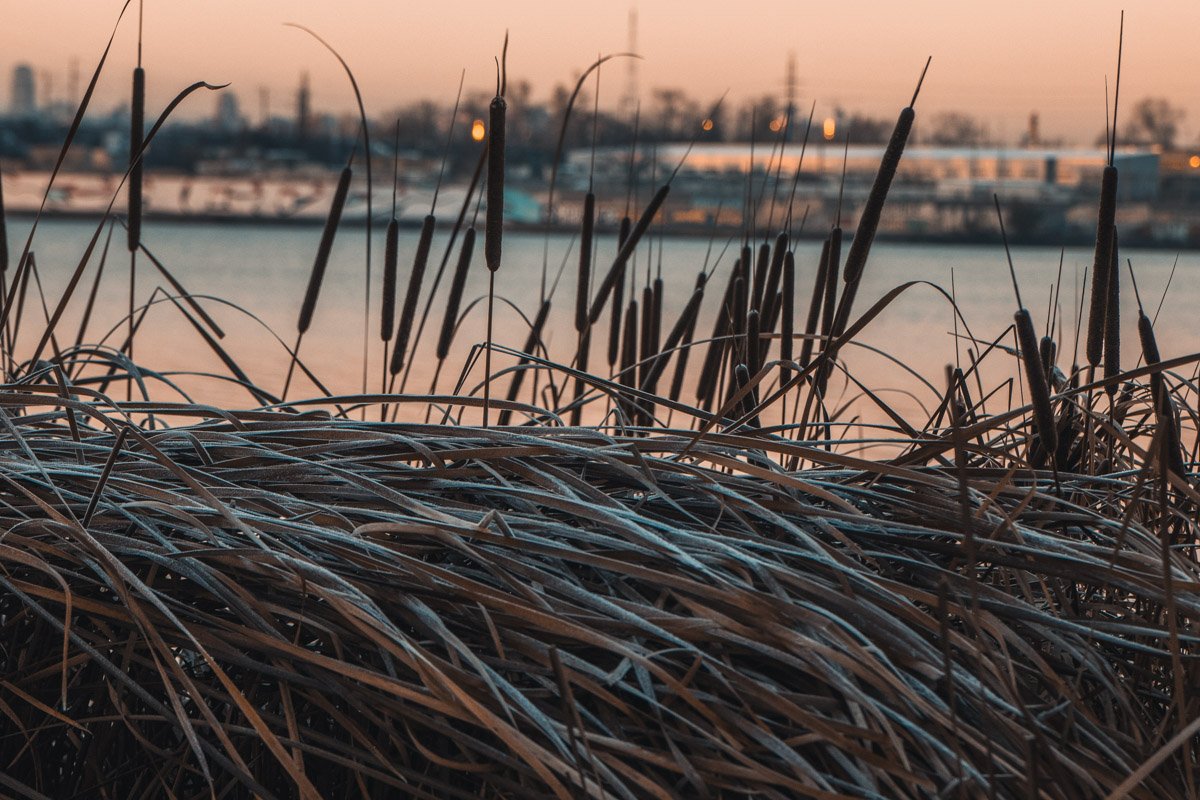 Мороз - это тот художник, которому нет равных