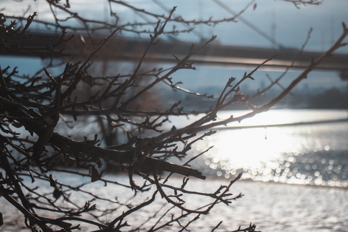 А пока пляж останется безлюдным и заброшенным до мая