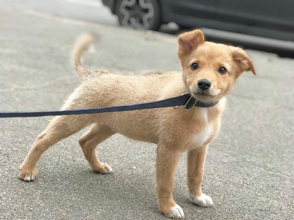 Как настоящая куколка! Как настоящая куколка!