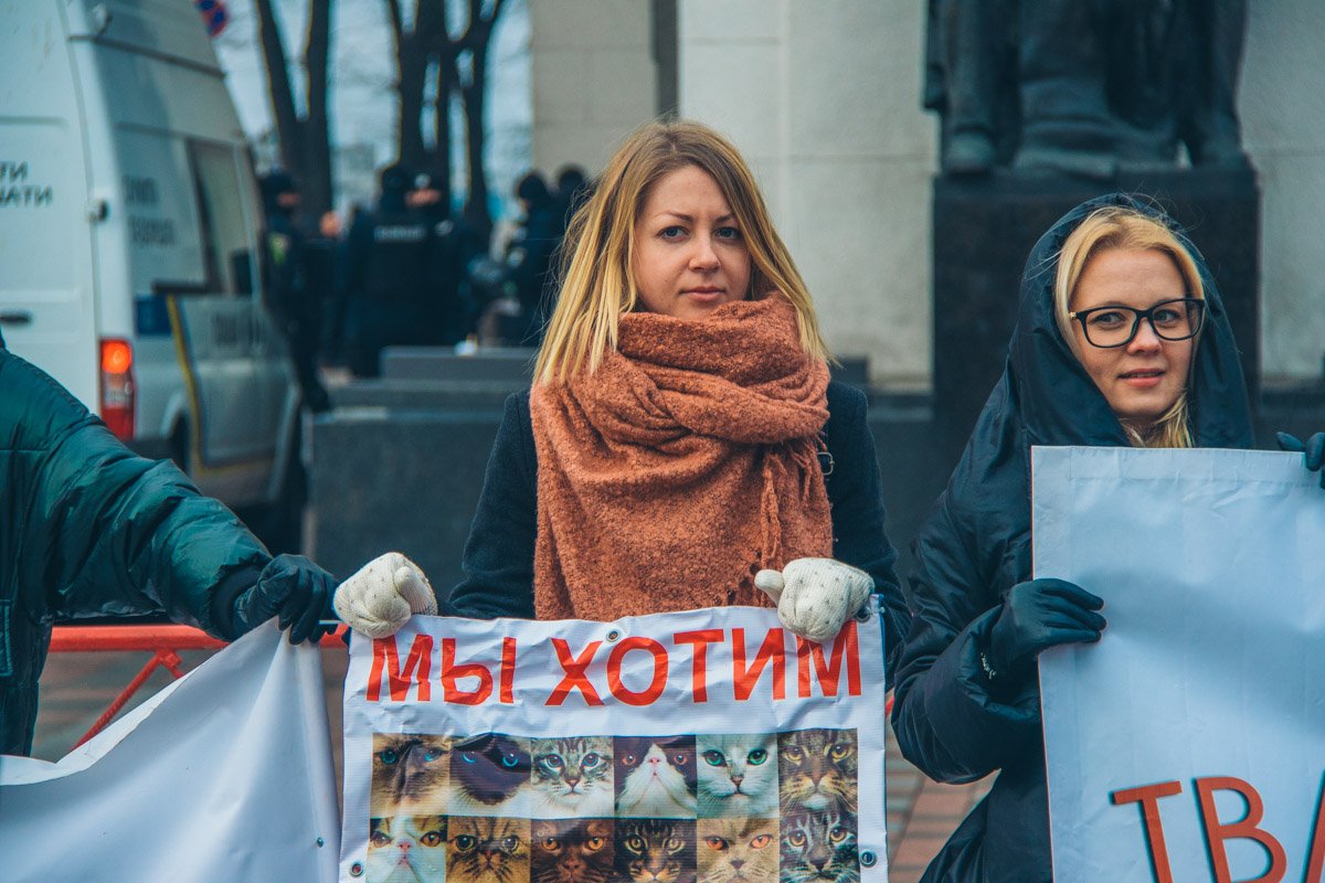 Активисты выступили в поддержку законопроекта против жестокого обращении с животными Активисты выступили в поддержку законопроекта против жестокого обращении с животными