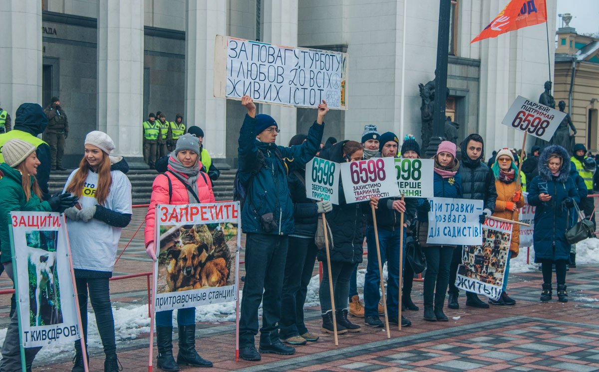 Законопроект №6598 предполагает внесение поправок в Закон про защиту животных от жестокого обращения Законопроект №6598 предполагает внесение поправок в Закон про защиту животных от жестокого обращения