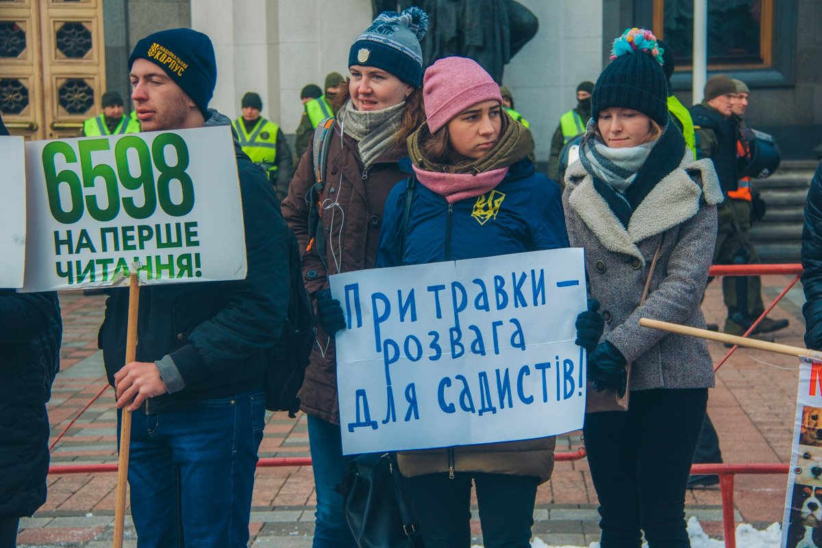 Митингующие ждали начала работы парламента, чтобы депутаты внесли изменения в закон Митингующие ждали начала работы парламента, чтобы депутаты внесли изменения в закон