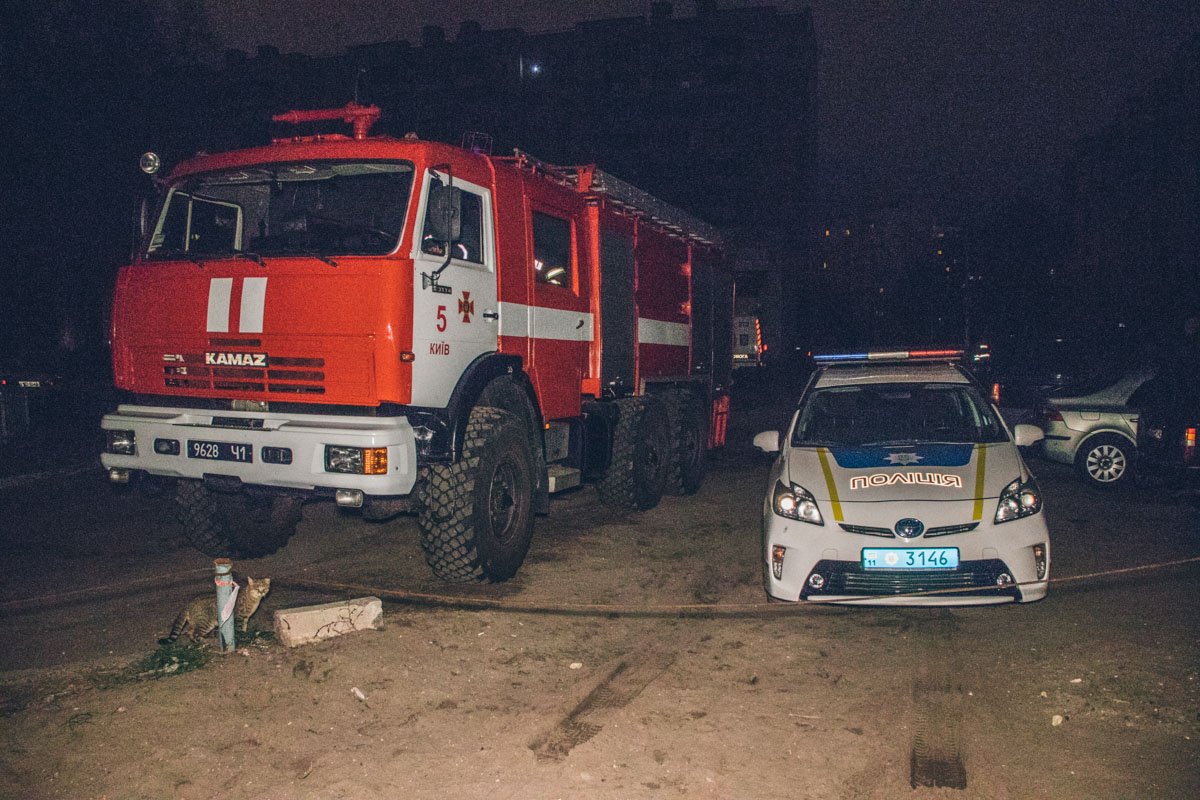 К счастью, происшествие обошлось без пострадавших