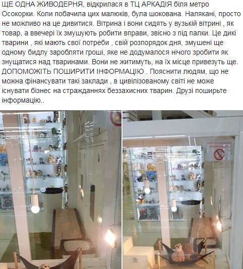 Общественность всколыхнула волна негодования из-за жестокого обращения с животными Общественность всколыхнула волна негодования из-за жестокого обращения с животными