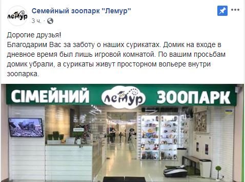 Владельцы зоопарка принесли извинения и сообщили о том, что теперь животные живут в просторном вольере Владельцы зоопарка принесли извинения и сообщили о том, что теперь животные живут в просторном вольере