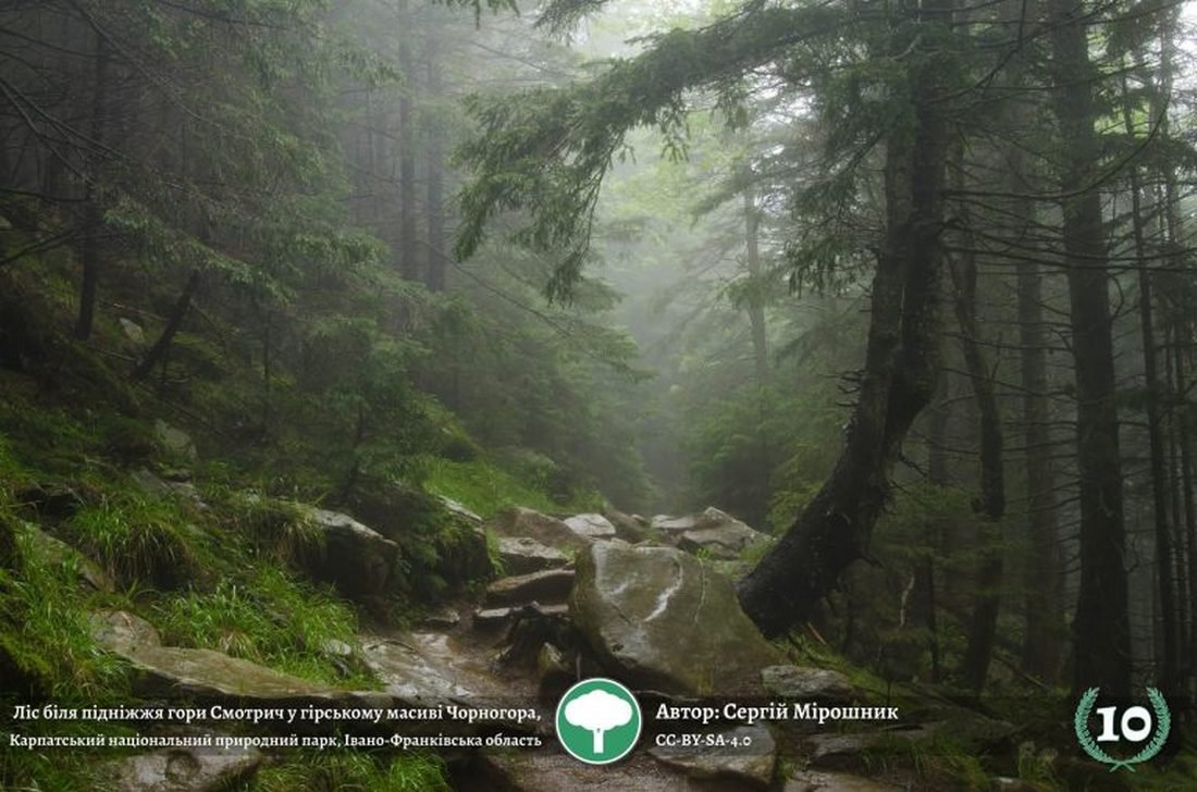 Наверное, такими видами вдохновлялась Леся Украинка, писав Лесную песню Наверное, такими видами вдохновлялась Леся Украинка, писав Лесную песню