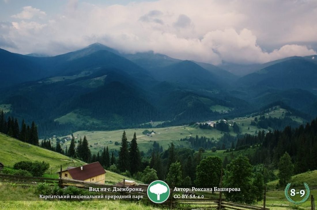 Могучая природа украинских Карпат Могучая природа украинских Карпат