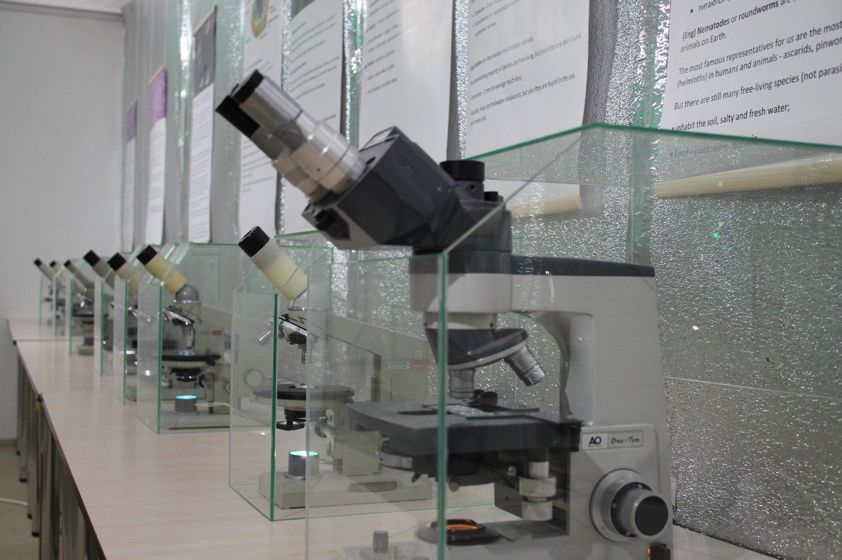 Выставка "Микрозоо" растет и развивается уже 12 лет