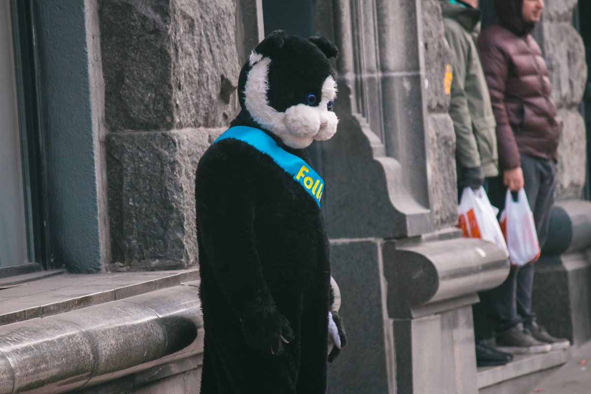 Коту сейчас совсем не позавидуешь