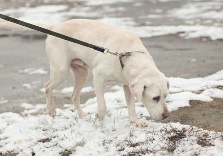 Агата, как истинная принцесса, несмотря на красивую внешность, повидала много зла