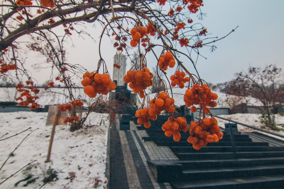 Мемориал жертвам Голодомора на рассвете. Фото: Дмитрий Щерблюк