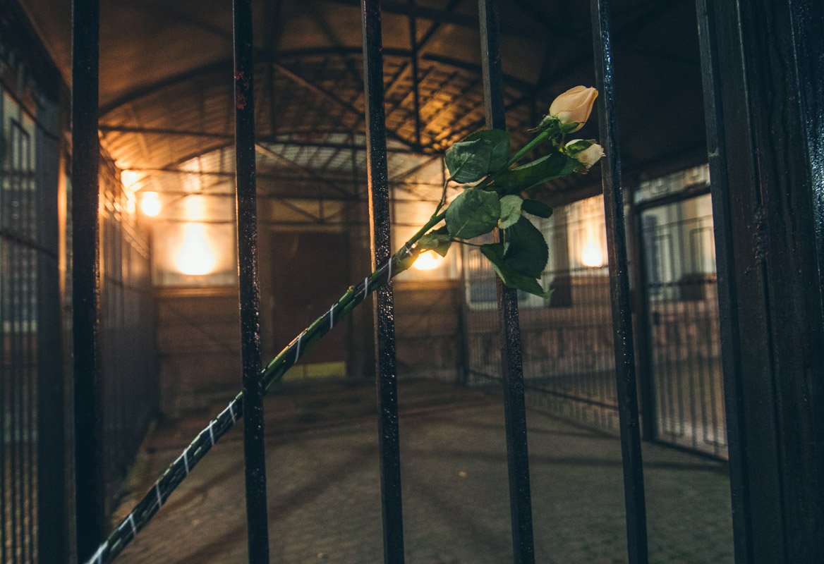 Розы за решеткой посольства РФ