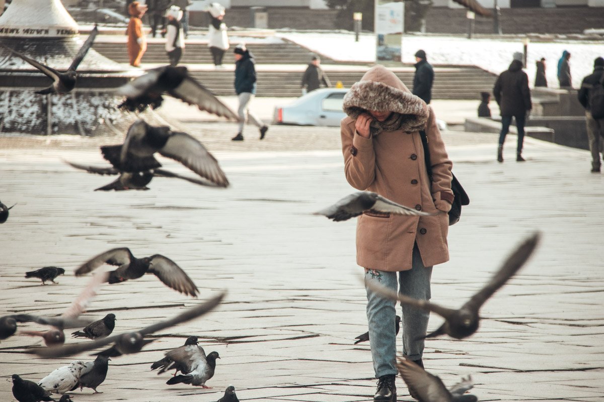 Не хватает жениха и свадебного платья, летящие голуби уже есть Не хватает жениха и свадебного платья, летящие голуби уже есть