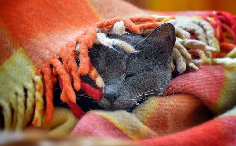 Девам стоит дарить то, что их в прямом смысле согреет