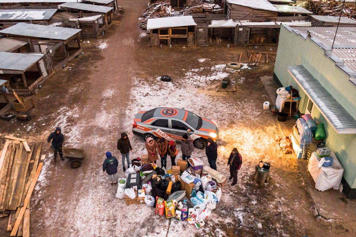 В день домашних животных Информатор посетил приют для животных «Сириус»