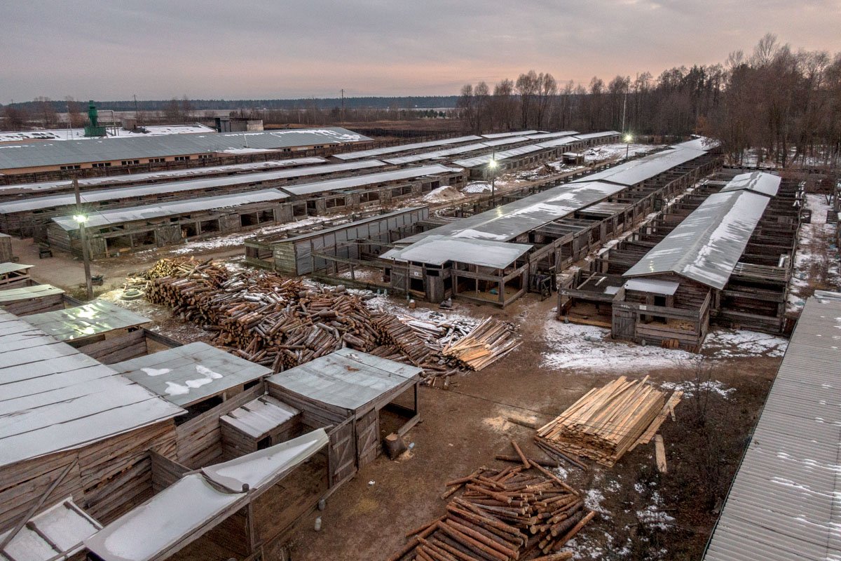 Для того, чтобы животные не голодали, приходится хранить такие вот запасы дров