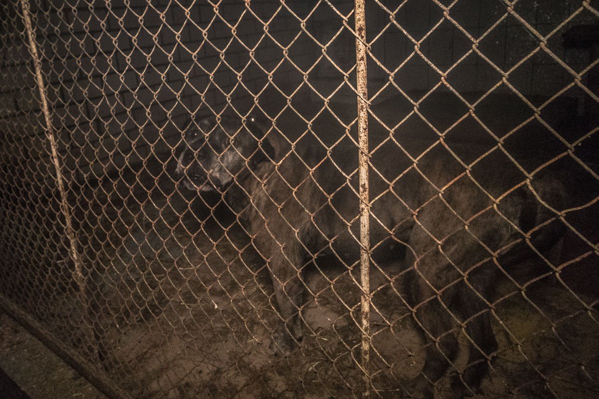 У каждого постояльца - своя судьба. Иногда очень тяжелая