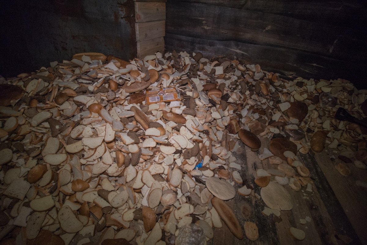 Также в корм добавляют мясо и размягченный хлеб