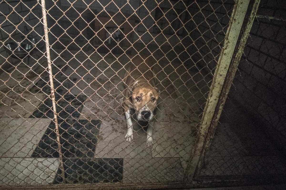 Из-за этого многим очень грустно